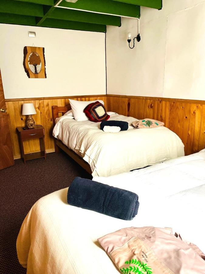 Profe Nelson Hostel Puerto Cisnes Kültér fotó