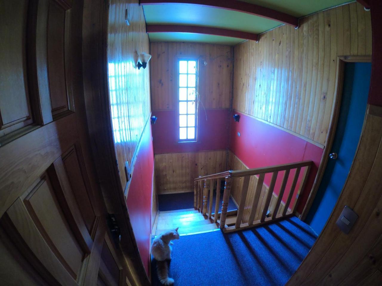 Profe Nelson Hostel Puerto Cisnes Kültér fotó